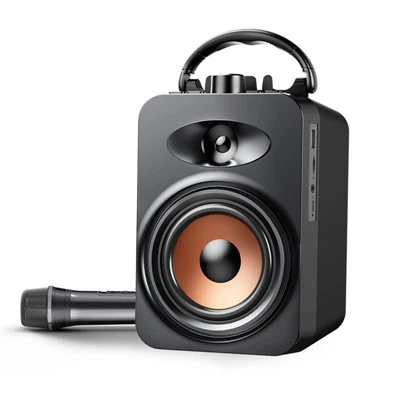 Siaradwr carioci cludadwy gyda meicroffon